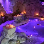 Regis & Wellness 4*