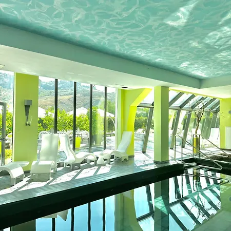 Regis & Wellness