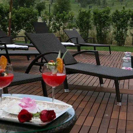 Regis & Wellness 4*