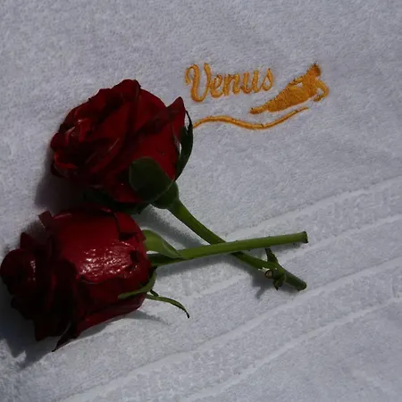 Hotel Regis & Wellness