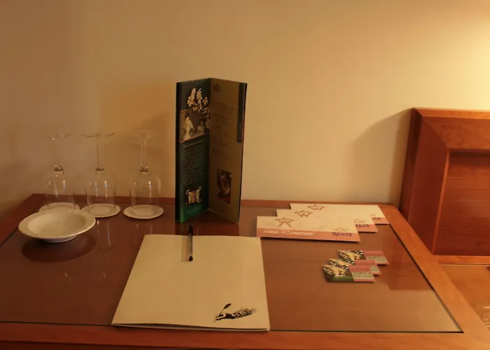 Regis & Wellness Turrivalignani